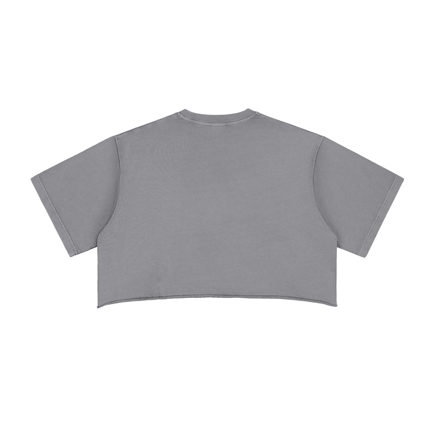 Snow Washed Raw Edge Skate Crop Top